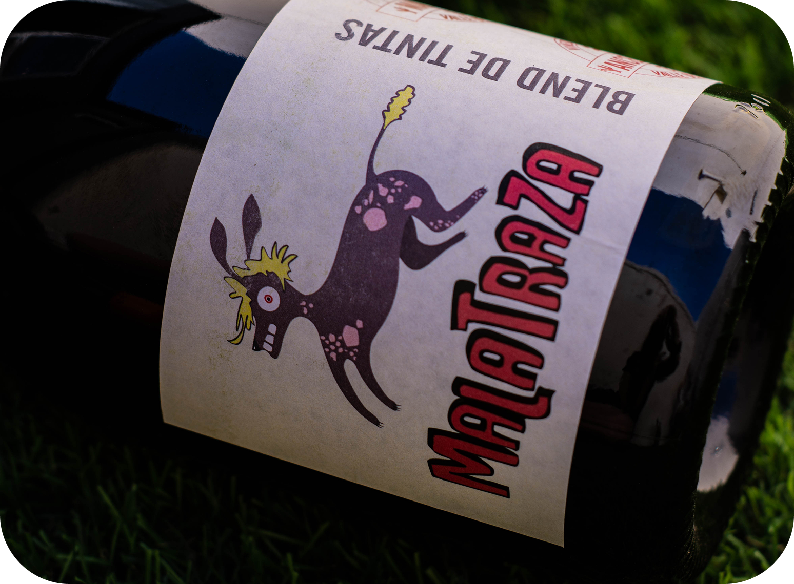 Wine Not - Additional